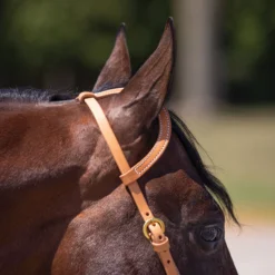 Billy Royal® Sliding Ear Headstall With Snaps 11 Billy Royal® Sliding Ear Headstall With Snaps -Schneiders Shop 00226 alt b