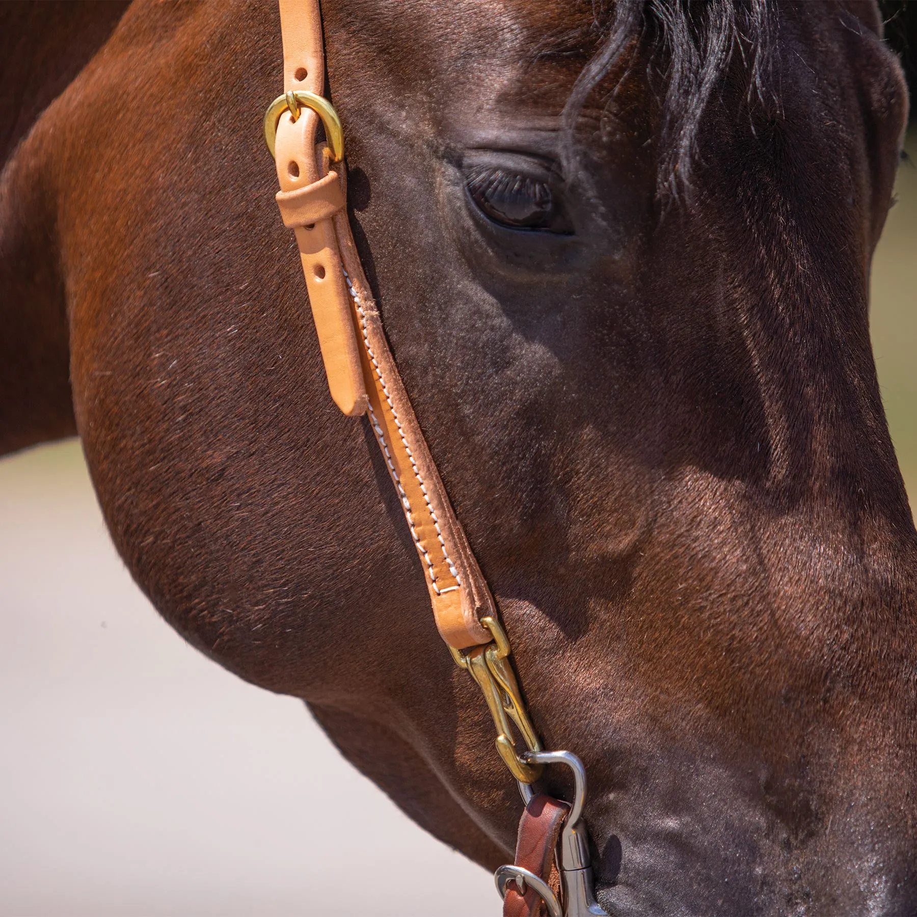Billy Royal® Sliding Ear Headstall With Snaps 6 Billy Royal® Sliding Ear Headstall With Snaps - Image 4