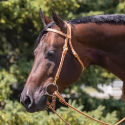 Billy Royal Hermann Oak Leather Texas Training Bridle With Snaps