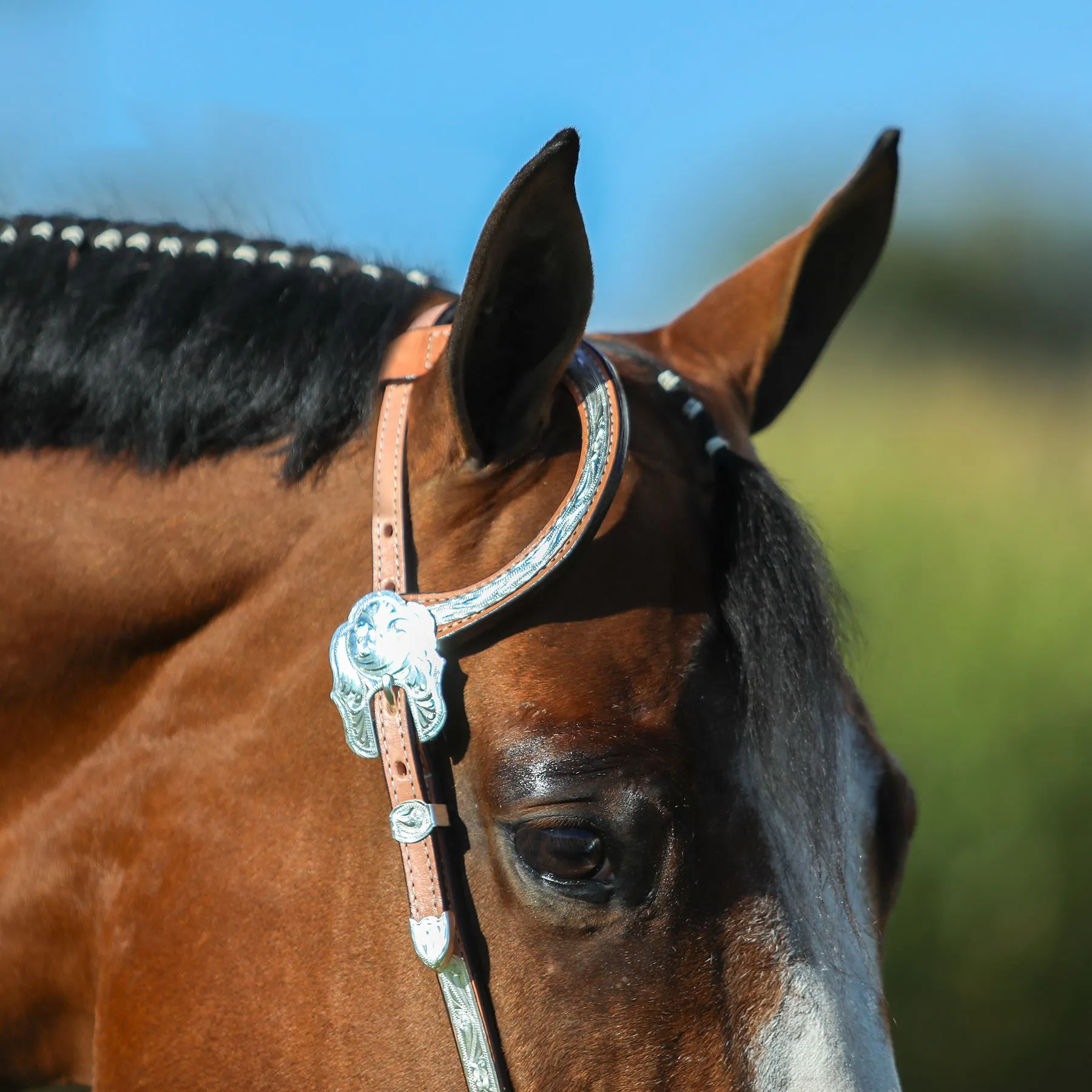 Billy Royal® Engraved One Ear Headstall 4 Billy Royal® Engraved One Ear Headstall - Image 2
