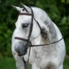Pinnacle Padded Bridle -Schneiders Shop 16697