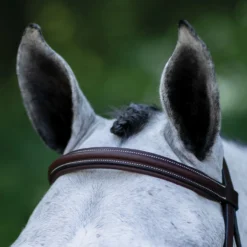 Pinnacle Padded Bridle -Schneiders Shop 16697 alt b