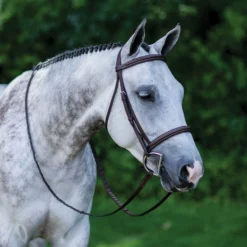 Pinnacle Padded Bridle -Schneiders Shop 16697 alt e