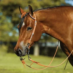 Raleigh Two Ear Headstall