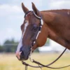 Billy Royal® Double Diamond Two Ear Headstall 2 Billy Royal® Double Diamond Two Ear Headstall -Schneiders Shop 18074