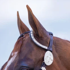 Billy Royal® Double Diamond Two Ear Headstall -Schneiders Shop 18074 alt b