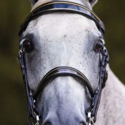 Joseph Sterling® Kiesner Comfort Show Bridle -Schneiders Shop 19978 alt d