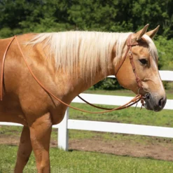 Billy Royal® Harness Leather Quick Change Bridle -Schneiders Shop 21049 alt b