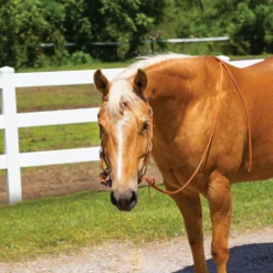 Billy Royal® Harness Leather Quick Change Bridle -Schneiders Shop 21049 alt d