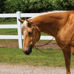 Billy Royal® Oval Buckle Browband Bridle -Schneiders Shop 21128 alt b