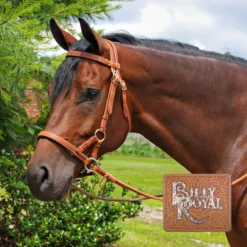 Billy Royal® Extra Heavy Hermann Oak Leather Reins -Schneiders Shop 21261 alt b