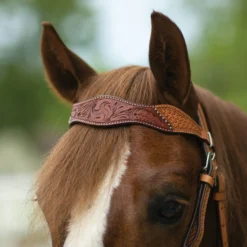 Double S Double Tooled Browband Bridle For Horses -Schneiders Shop 24378 alt b
