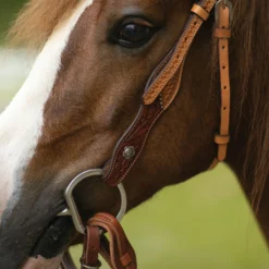 Double S Double Tooled Browband Bridle For Horses -Schneiders Shop 24378 alt c