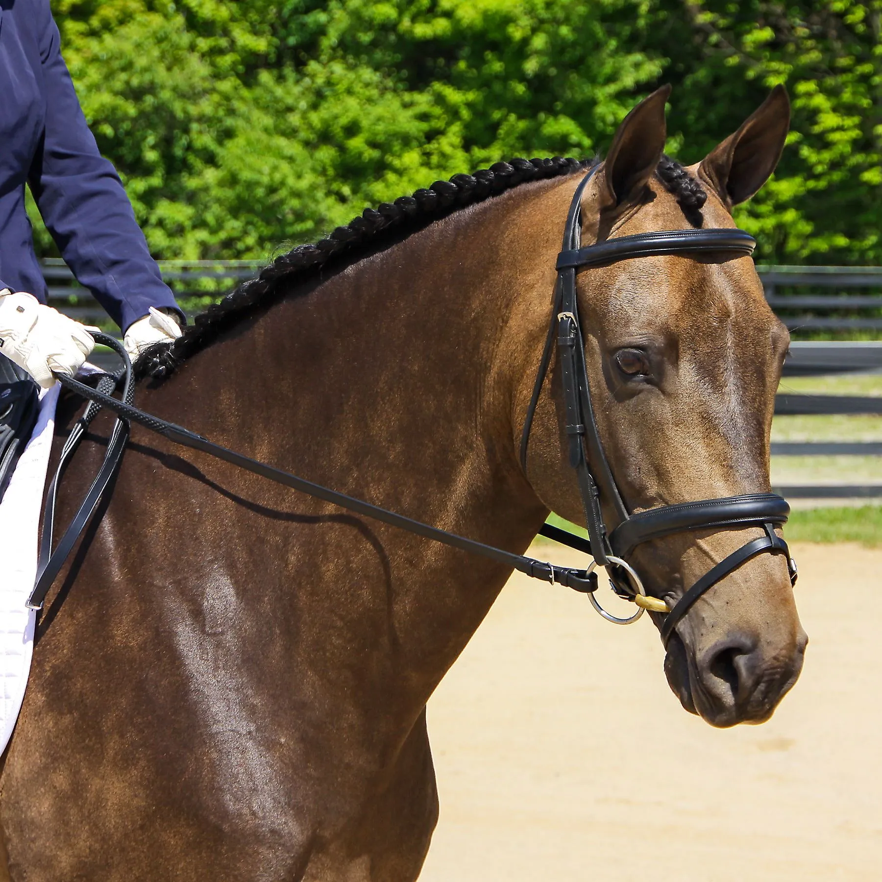 Joseph Sterling® Soft Rubber Beaded Reins 6 Joseph Sterling® Soft Rubber Beaded Reins - Image 4