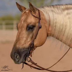 Billy Royal® Oiled Hermann Oak Leather Rolled One Ear Headstall