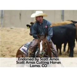 Billy Royal® Oiled Hermann Oak Leather Rolled One Ear Headstall 17 Billy Royal® Oiled Hermann Oak Leather Rolled One Ear Headstall -Schneiders Shop 25471 prof a overlay