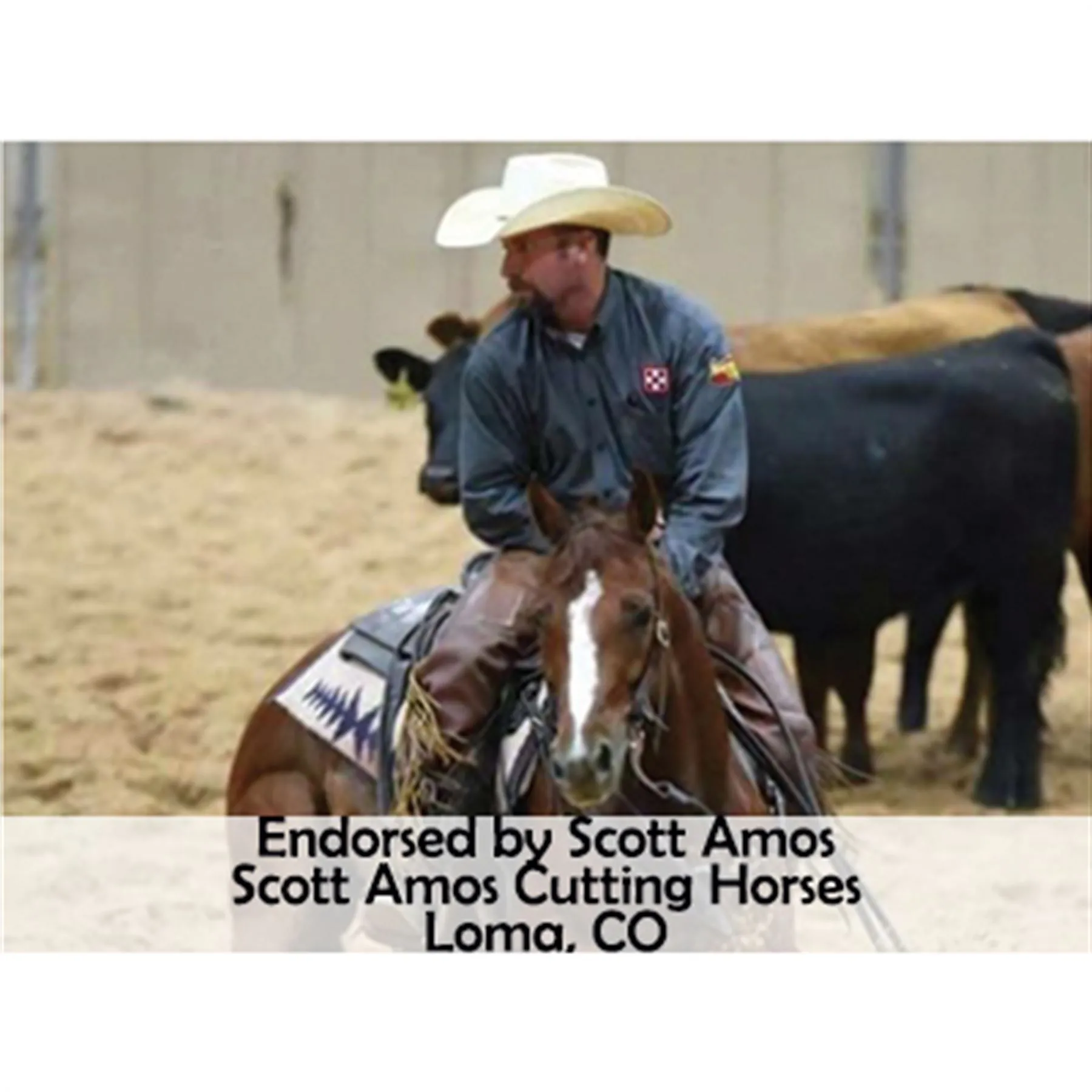 Billy Royal® Oiled Hermann Oak Leather Rolled One Ear Headstall 8 Billy Royal® Oiled Hermann Oak Leather Rolled One Ear Headstall - Image 6