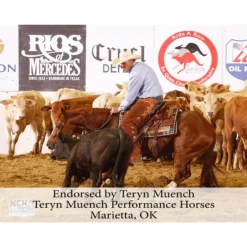 Billy Royal® Oiled Hermann Oak Leather Rolled One Ear Headstall 18 Billy Royal® Oiled Hermann Oak Leather Rolled One Ear Headstall -Schneiders Shop 25471 prof b overlay