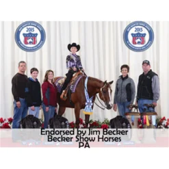 Billy Royal® Oiled Hermann Oak Leather Rolled One Ear Headstall 19 Billy Royal® Oiled Hermann Oak Leather Rolled One Ear Headstall -Schneiders Shop 25471 prof c overlay