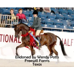 Victor Supreme Gene LaCroix Training Split Reins With Snaps And Stops -Schneiders Shop 25501 prof f overlay