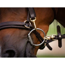 Victor Supreme Training Split Reins For Horses With Scissor Snaps -Schneiders Shop 25502 alt b