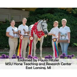 Victor Supreme Training Split Reins For Horses With Scissor Snaps -Schneiders Shop 25502 prof a overlay