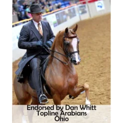 Victor Supreme Training Split Reins For Horses With Scissor Snaps -Schneiders Shop 25502 prof c overlay