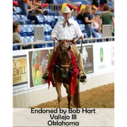 Victor Supreme Training Split Reins For Horses With Scissor Snaps -Schneiders Shop 25502 prof e overlay