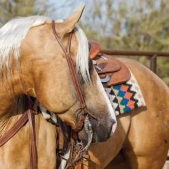 Billy Royal® Oiled Hermann Oak Split Ear Headstall With Horseshoe Brand Buckle 8 Billy Royal® Oiled Hermann Oak Split Ear Headstall With Horseshoe Brand Buckle -Schneiders Shop 25710 alt c
