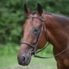 Premier® Premier Raised Fancy Stitched Bridle -Schneiders Shop 30896