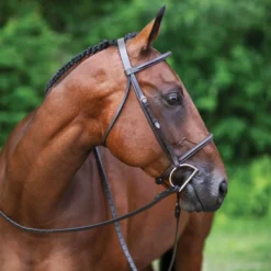Premier® Premier Raised Fancy Stitched Bridle -Schneiders Shop 30896 alt b