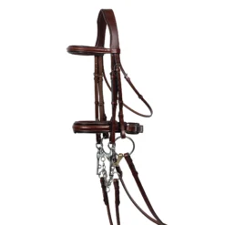 Joseph Sterling® Double Dressage Bridle -Schneiders Shop 31822 chestnut
