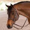Joseph Sterling® Pro Series Classic Hunter Bridle -Schneiders Shop 31823