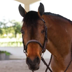 Joseph Sterling® Pro Series Classic Hunter Bridle -Schneiders Shop 31823 alt e