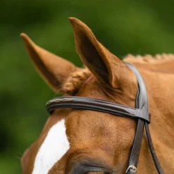 Joseph Sterling® Pro Series Hunter Classic Bridle W/XL Reins (64") 26 Joseph Sterling® Pro Series Hunter Classic Bridle W/XL Reins (64") -Schneiders Shop 31824 alt b