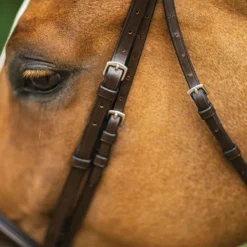 Joseph Sterling® Pro Series Hunter Classic Bridle W/XL Reins (64") 27 Joseph Sterling® Pro Series Hunter Classic Bridle W/XL Reins (64") -Schneiders Shop 31824 alt c