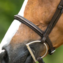 Joseph Sterling® Pro Series Hunter Classic Bridle W/XL Reins (64") 28 Joseph Sterling® Pro Series Hunter Classic Bridle W/XL Reins (64") -Schneiders Shop 31824 alt d