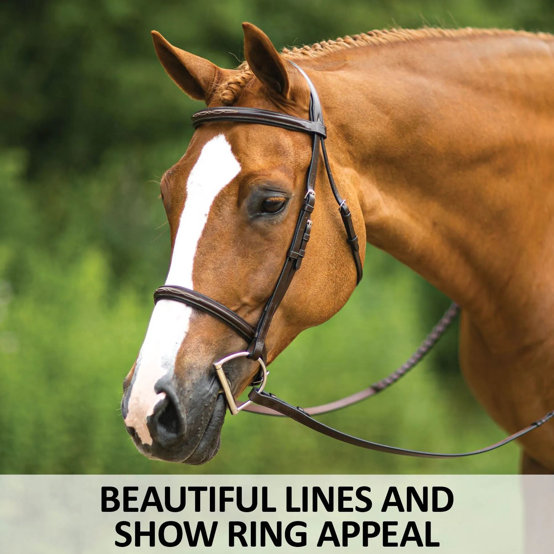 Joseph Sterling® Pro Series Hunter Classic Bridle W/XL Reins (64") 4 Joseph Sterling® Pro Series Hunter Classic Bridle W/XL Reins (64") - Image 2