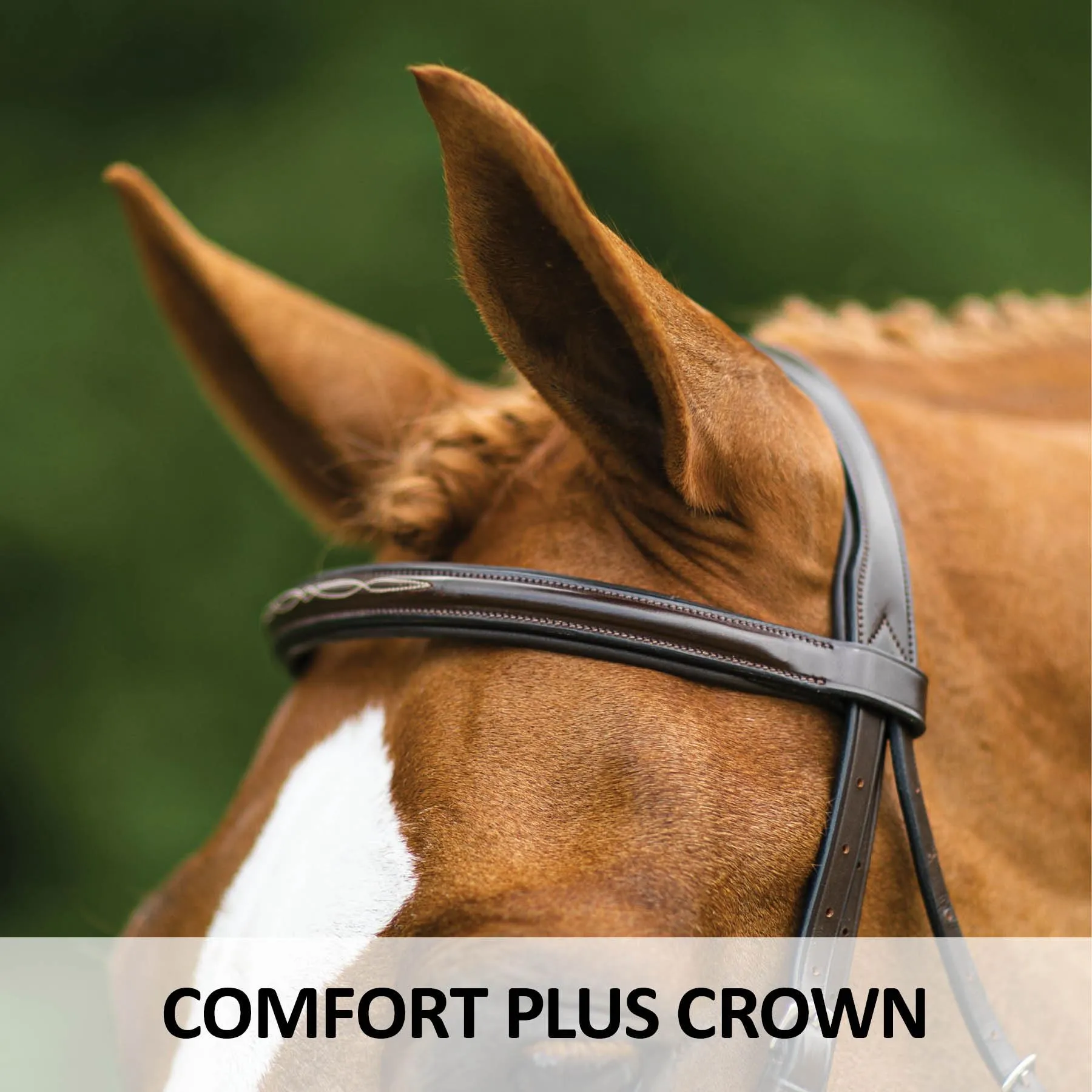 Joseph Sterling® Pro Series Hunter Classic Bridle W/XL Reins (64") 5 Joseph Sterling® Pro Series Hunter Classic Bridle W/XL Reins (64") - Image 3