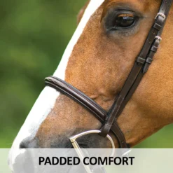 Joseph Sterling® Pro Series Hunter Classic Bridle W/XL Reins (64") 22 Joseph Sterling® Pro Series Hunter Classic Bridle W/XL Reins (64") -Schneiders Shop 31824 feature c overlay