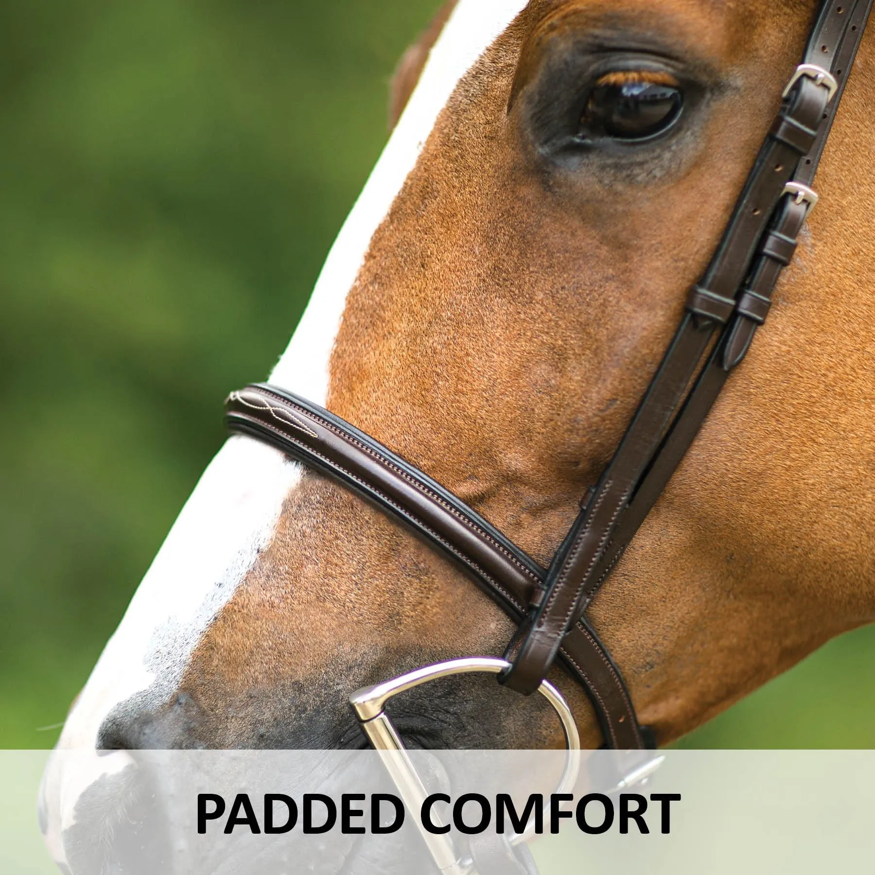 Joseph Sterling® Pro Series Hunter Classic Bridle W/XL Reins (64") 6 Joseph Sterling® Pro Series Hunter Classic Bridle W/XL Reins (64") - Image 4