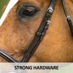 Joseph Sterling® Pro Series Hunter Classic Bridle W/XL Reins (64") 24 Joseph Sterling® Pro Series Hunter Classic Bridle W/XL Reins (64") -Schneiders Shop 31824 feature e overlay