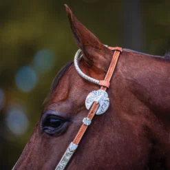 Billy Royal Box Cheek Two Ear Headstall -Schneiders Shop 31872 alt d