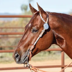 Double S Award Show Headstall With Silver Barrels