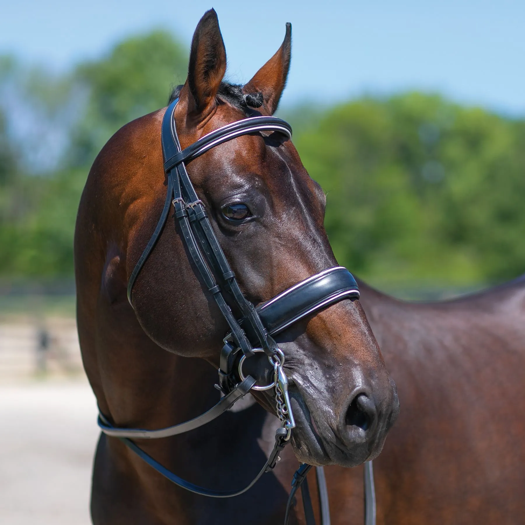 Joseph Sterling® Conversion Dressage Bridle With Patent Trim 4 Joseph Sterling® Conversion Dressage Bridle With Patent Trim - Image 2