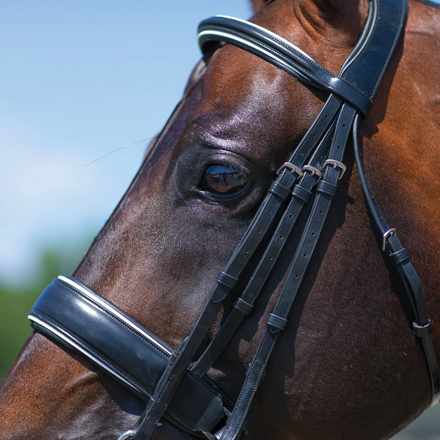 Joseph Sterling® Conversion Dressage Bridle With Patent Trim 5 Joseph Sterling® Conversion Dressage Bridle With Patent Trim - Image 3