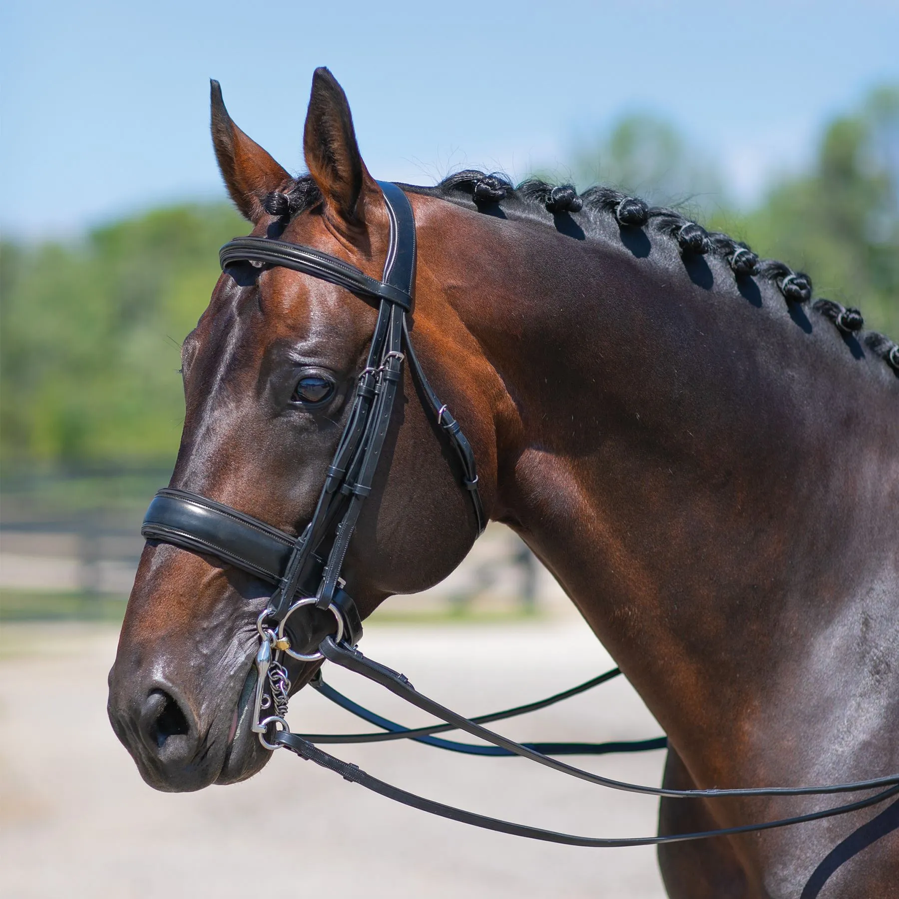 Joseph Sterling® Conversion Dressage Bridle With Patent Trim 8 Joseph Sterling® Conversion Dressage Bridle With Patent Trim - Image 6