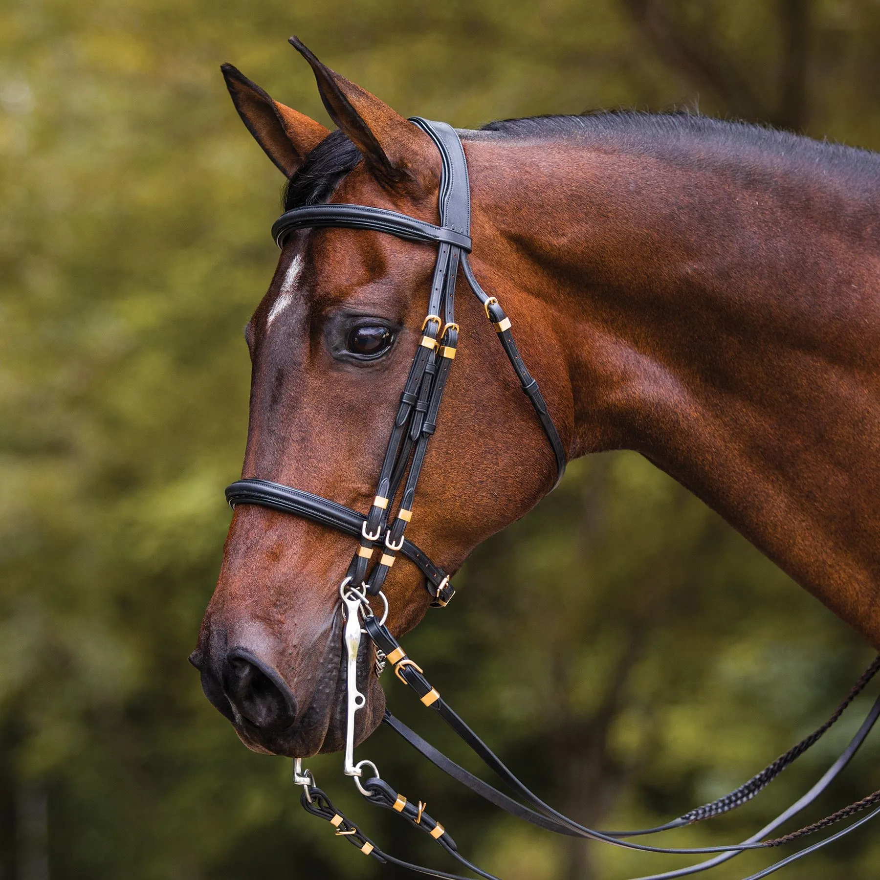 Joseph Sterling Show Hack Bridle For Horses 3 Joseph Sterling Show Hack Bridle For Horses