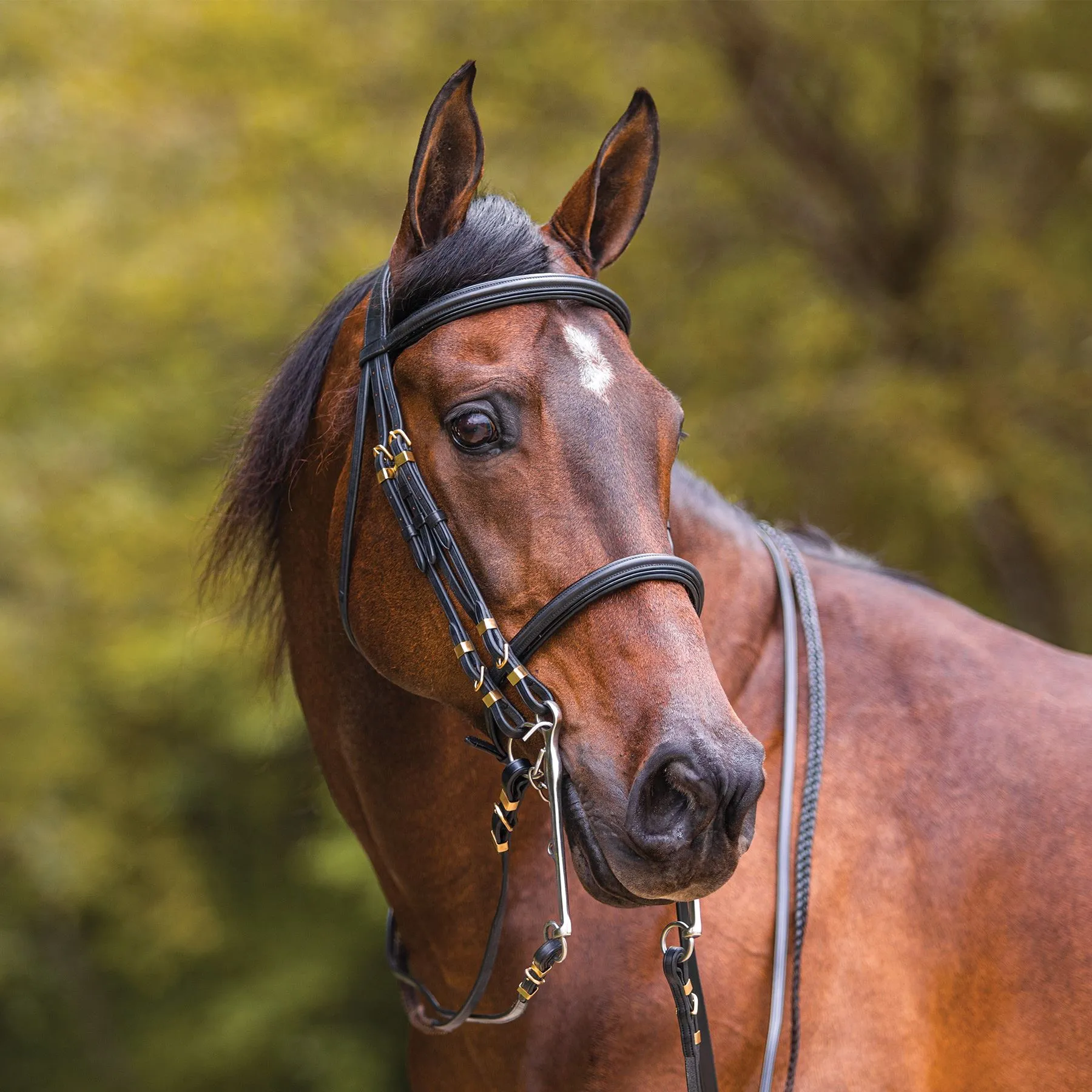 Joseph Sterling Show Hack Bridle For Horses 5 Joseph Sterling Show Hack Bridle For Horses - Image 3