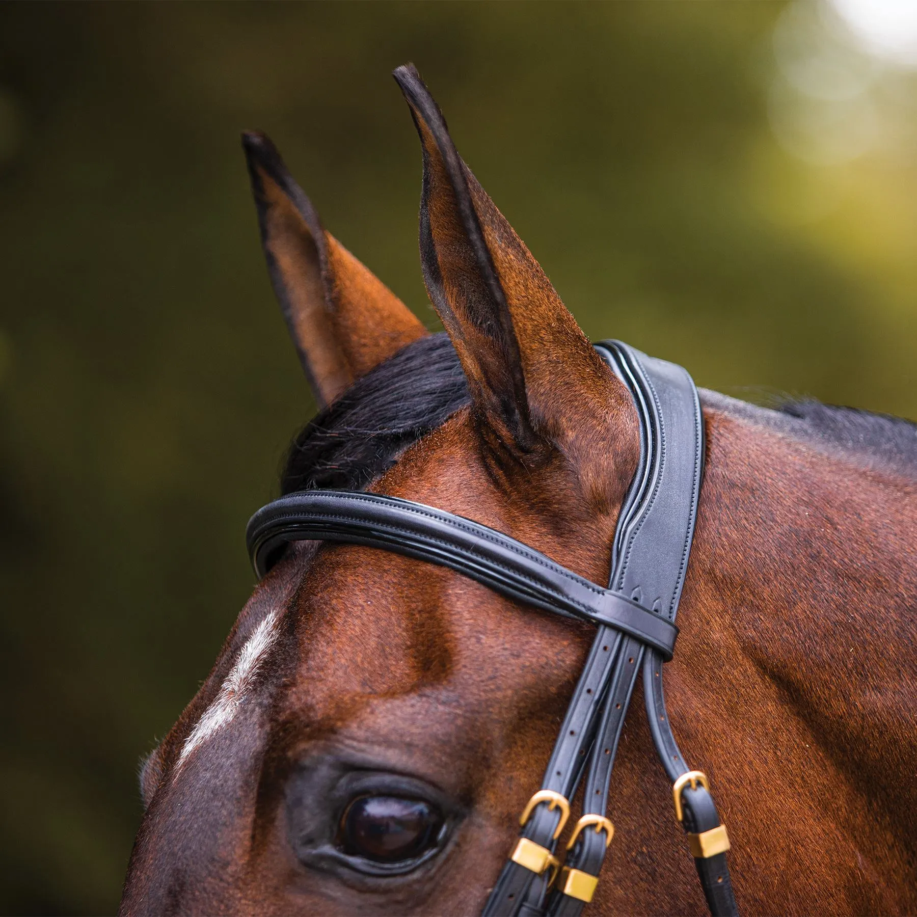 Joseph Sterling Show Hack Bridle For Horses 6 Joseph Sterling Show Hack Bridle For Horses - Image 4